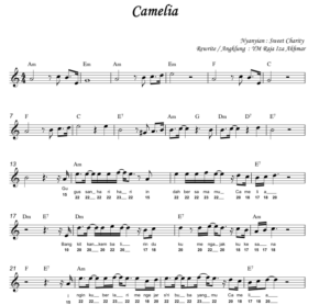 Camelia (New) Camelia