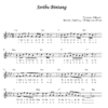 Seribu Bintang