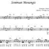 Seniman Menangis