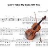 Can't Take My Eyes Off You (violin)