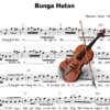 Bunga Hutan (Violin)