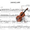 Sedetik Lebih (Violin)