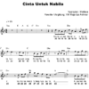 Cinta Untuk Nabila
