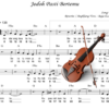 Jodoh Pasti Bertemu (violin)