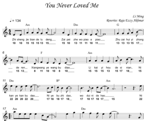 You Never Loved Me (chinese) You Never Loved Me 你不过是一时寂寞