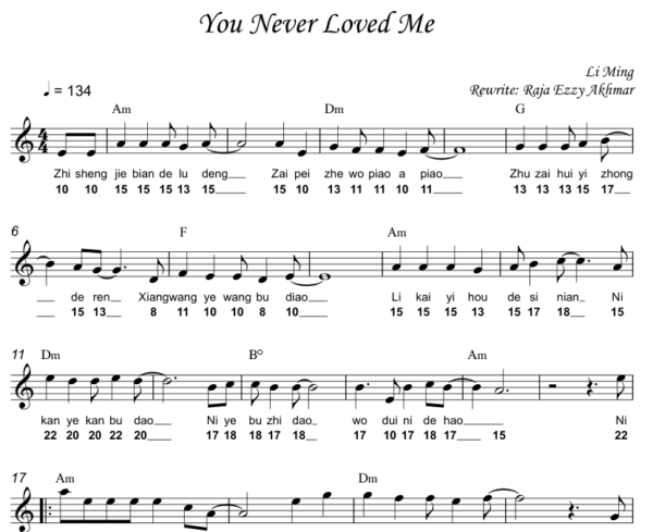 You Never Loved Me 你不过是一时寂寞